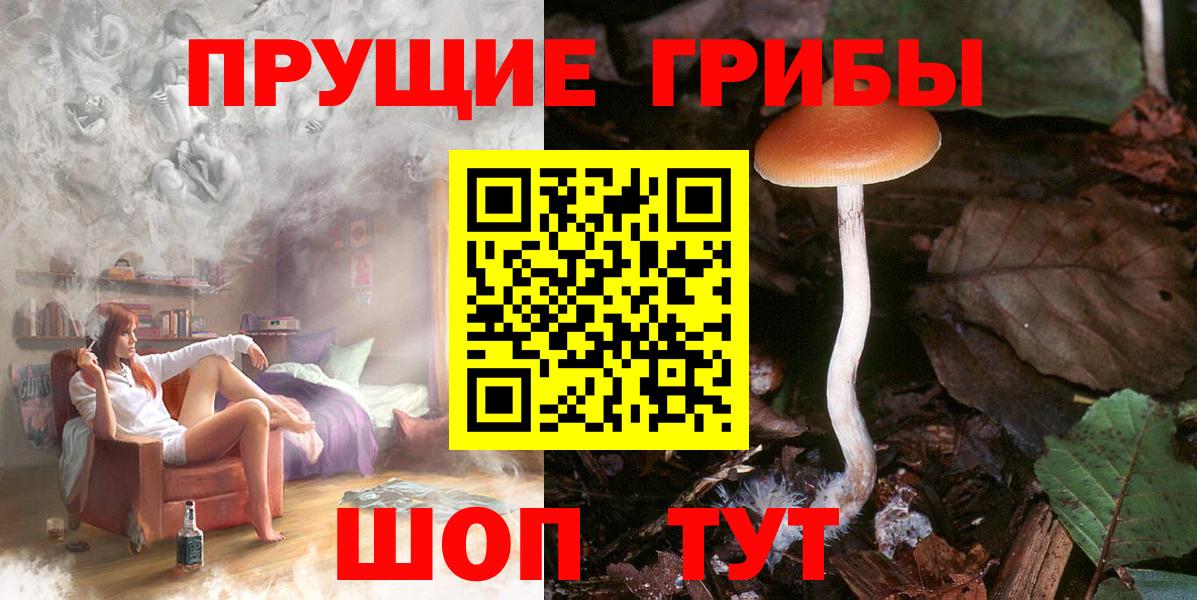 Галлюциногенные грибы MAGIC MUSHROOMS  наркота  Ишим  Вход с VPN 